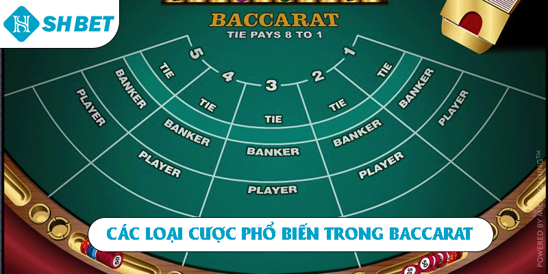 Các loại cược phổ biến trong Baccarat