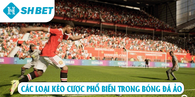 Các loại kèo cược phổ biến trong bóng đá ảo