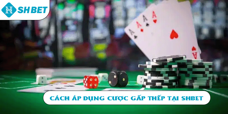 Cách áp dụng cược gấp thếp tại SHBET