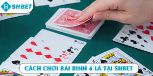 Cách chơi bài binh 6 lá tại SHBET