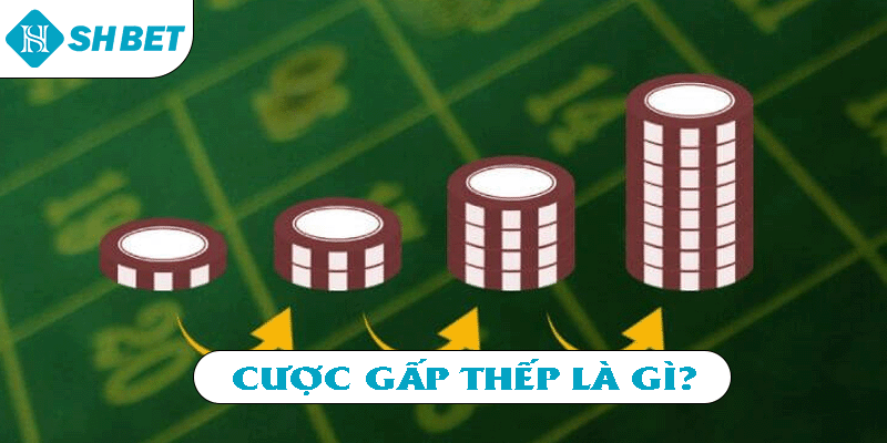 Cược gấp thếp là gì?