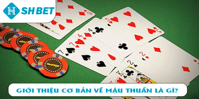  Giới thiệu cơ bản về Mậu Thầu là gì