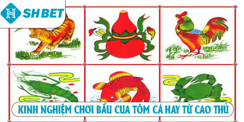 Kinh nghiệm chơi Bầu Cua Tôm Cá hay từ cao thủ 