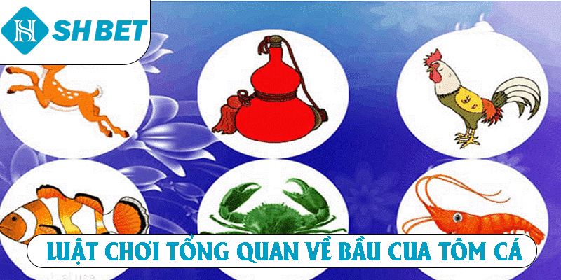 Luật chơi tổng quan về Bầu Cua Tôm Cá