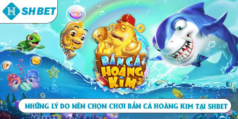 Những lý do nên chọn chơi Bắn Cá Hoàng Kim tại SHBET