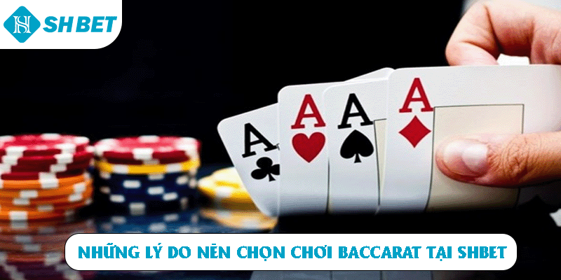 Những lý do nên chọn chơi Baccarat tại SHBET 