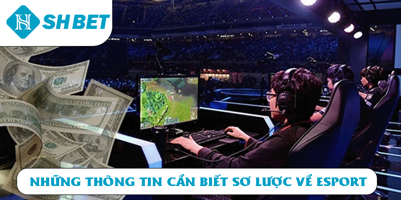 Những thông tin cần biết sơ lược về Esport 