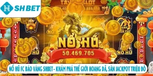 ảnh đại diện fc báo vàng