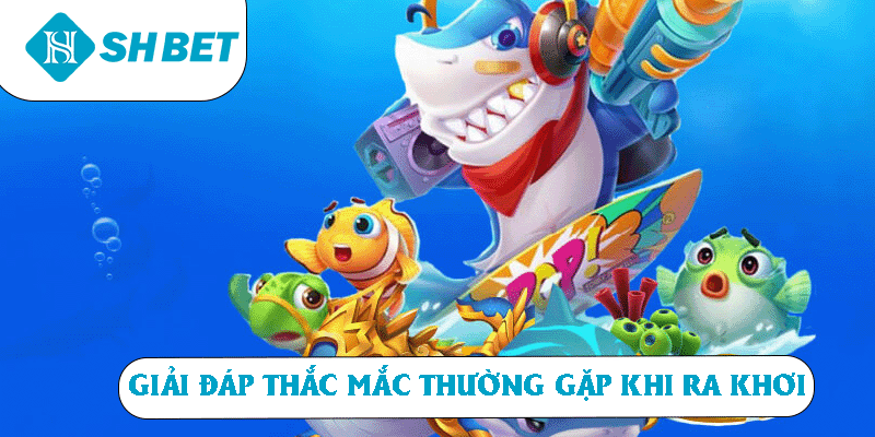 Giải đáp thắc mắc thường gặp khi ra khơi 