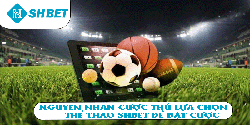 Nguyên nhân cược thủ lựa chọn thể thao SHBET để đặt cược