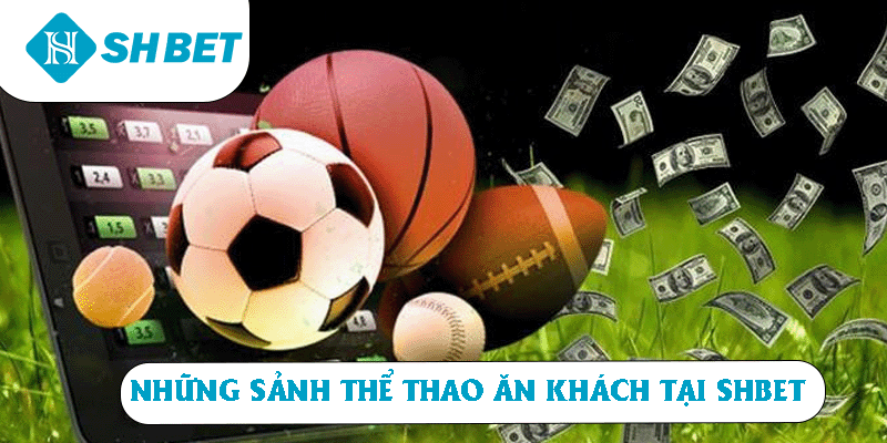 Những sảnh thể thao ăn khách tại SHBET